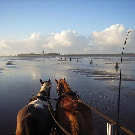 Apartment Residenz Knechtsand 3 *