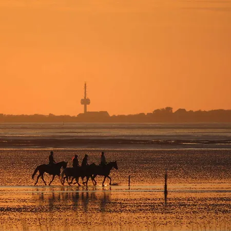 Residenz Knechtsand 3 Apartment Cuxhaven
