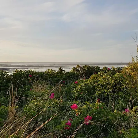 Residenz Knechtsand 3 *