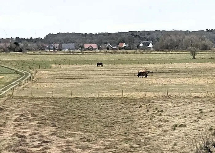 Residenz Knechtsand 3